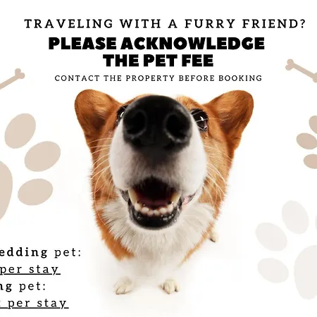 Wonderful At Jardim Do Tabaco 50904 Al Apartment Lisbon